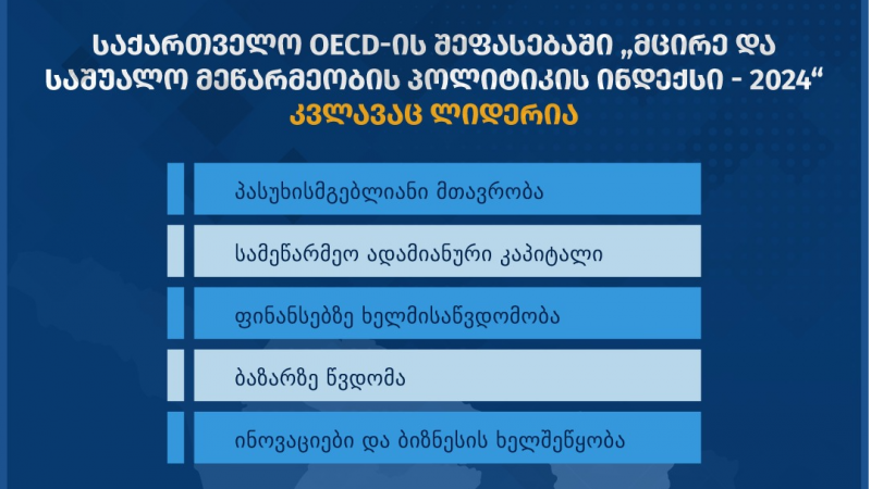 OECD-ის შეფასებაში საქართველო 11 მიმართულებით ლიდერობს