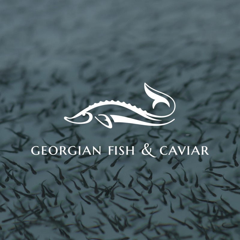 Georgian Fish & Caviar ასორტიმენტის გაფართოებასა და ექსპორტზე გასვლაზე მუშაობს