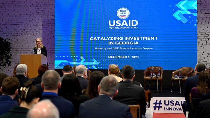 ნათია თურნავამ USAID-ის ფინანსური ინოვაციების პროგრამის ღონისძიებაში მიიღო მონაწილეობა