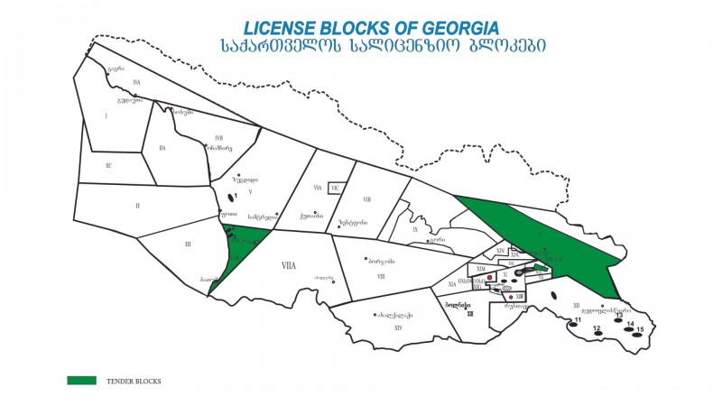 სსიპ ნავთობისა და გაზის სახელმწიფო სააგენტო აცხადებს ტენდერს  VIIB, X და XIWN-M სალიცენზიო ბლოკებზე