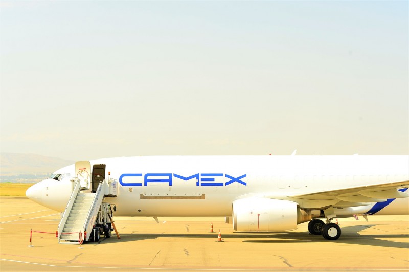 Camex Airlines-ი ავიაპარკს ზრდის - კომპანია მეოთხე Boeing-ს 2025 წლის I კვარტალში დაიმატებს