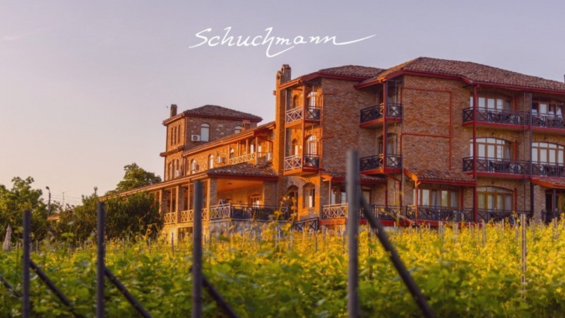 Schuchmann Wines Chateau, Villas & SPA -ს ძალიან მაღალი დატვირთულობა აქვს, საუბარია 90%-იან დატვირთულობაზე -  ნუცა აბრამიშვილი