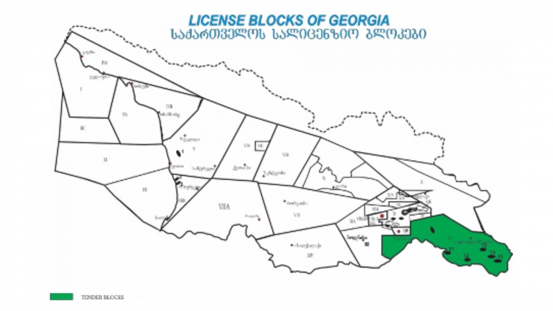 სსიპ ნავთობისა და გაზის სახელმწიფო სააგენტო აცხადებს ტენდერს  XII სალიცენზიო ბლოკზე