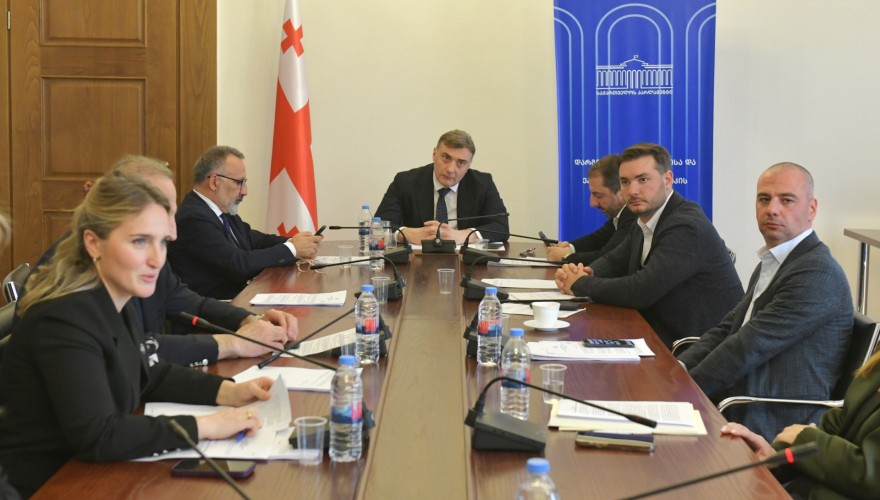 დარგობრივი ეკონომიკისა და ეკონომიკური პოლიტიკის კომიტეტმა დასაქმების პოლიტიკის დაგეგმვისა და განხორციელების 2024 წლის ანგარიში მოისმინა
