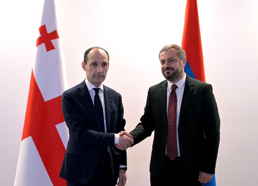 ლევან დავითაშვილმა სომხეთის ეკონომიკის მინისტრთან ორ ქვეყანას შორის სავაჭრო-ეკონომიკური თანამშრომლობის მნიშვნელოვანი საკითხები განიხილა
