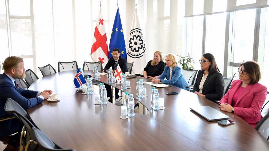 ნათია თურნავა ისლანდიის ცენტრალური ბანკის პრეზიდენტს შეხვდა