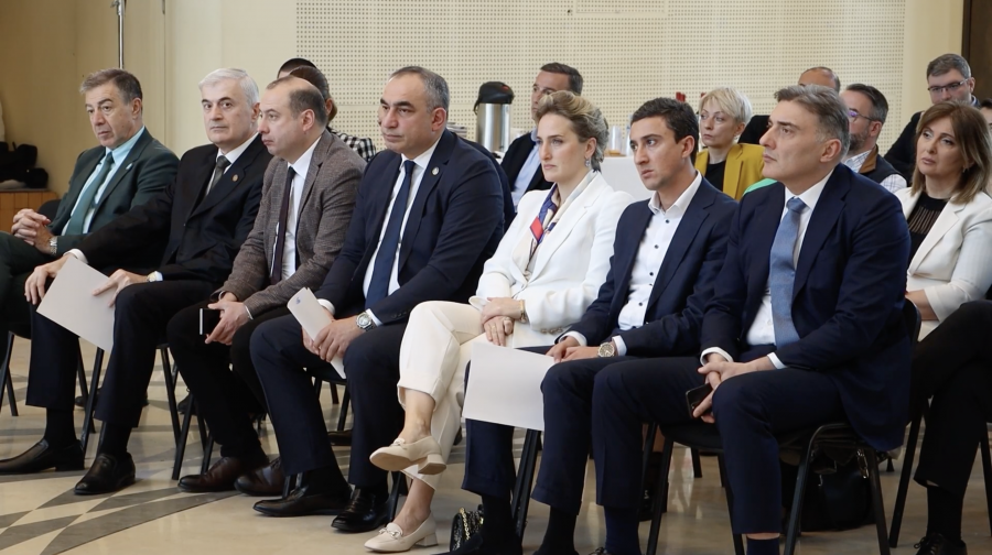 ჯანდაცვის პოლიტიკა საქართველოში ერთ-ერთი წარმატებული და მნიშვნელოვანი მიმართულებაა - შოთა ბერიკაშვილი