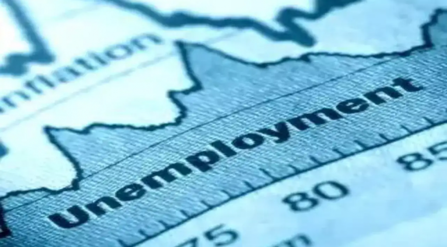 2024 წელს საქართველოში უმუშევრობის დონე შემცირდა და 13.9% შეადგინა - საქსტატი