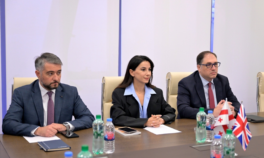 მარიამ ქვრივიშვილი გაერთიანებული სამეფოს ელჩს შეხვდა - რა განიხილეს