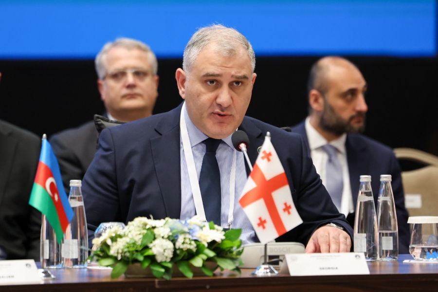 სტამბოლში გამართულ ოჯახის საერთაშორისო ფორუმზე, მიხეილ სარჯველაძე სიტყვით გამოვიდა