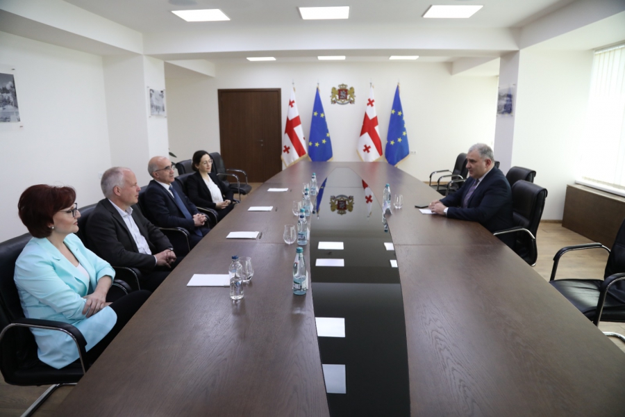 მიხეილ სარჯველაძემ სარეაბილიტაციო მომსახურებაზე მორიგი შეხვედრა გამართა