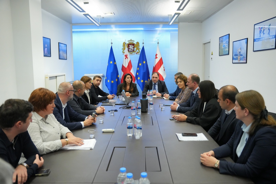 მარიამ ქვრივიშვილი საქართველოში ოპერირებადი ავიაკომპანიების წარმომადგენლებს შეხვდა