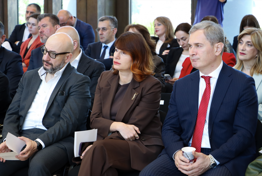 ჯანდაცვის სექტორში განსაკუთრებით პრობლემაა საბანკო კონკურენცია - ნინა კობახიძე