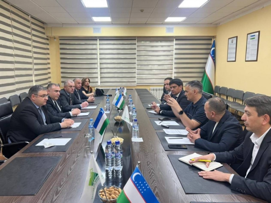 მიწის მდგრადი მართვისა და მიწათსარგებლობის მონიტორინგის ეროვნული სააგენტოს დელეგაცია უზბეკეთის მიწის მართვის ციფრულ სისტემას გაეცნო