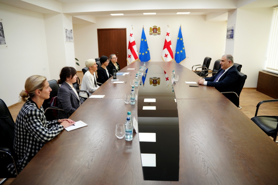 ჯანდაცვის მინისტრი The Max Foundation-ის აღმასრულებელ დირექტორ პატ გარსია-გონსალესს შეხვდა