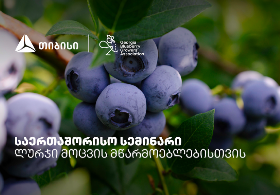 თიბისის მხარდაჭერით, ლურჯი მოცვის მწარმოებლებისთვის საერთაშორისო სემინარი გაიმართა