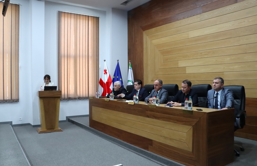 სემეკში მიკროსიმძლავრის ელექტროსადგურების საკითხზე სამუშაო შეხვედრა გაიმართა