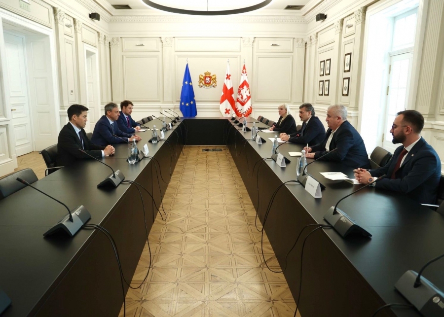 მიხეილ ყაველაშვილი საერთაშორისო სავალუტო ფონდის (IMF) მისიის ხელმძღვანელს შეხვდა - რა განიხილეს