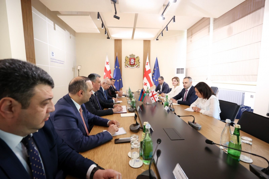 ალექსანდრე წულაძე აზერბაიჯანის რესპუბლიკის საპარლამენტო დელეგაციის წევრებს შეხვდა