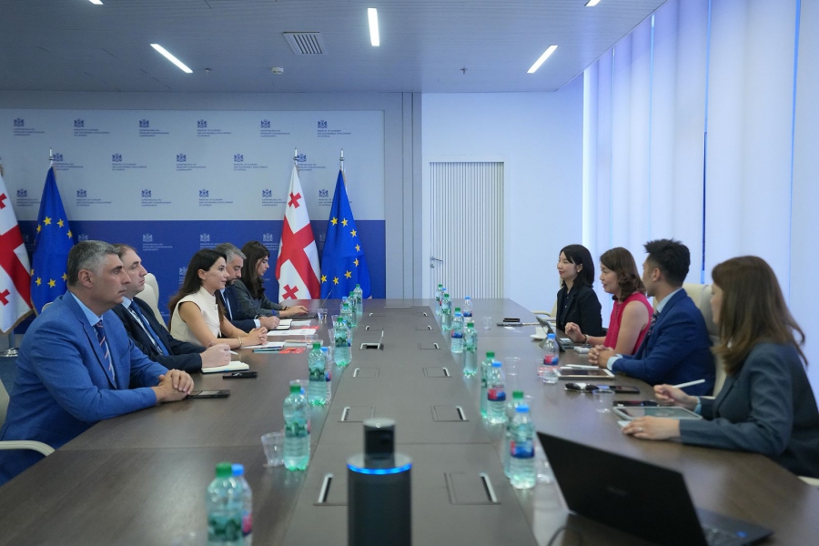 მარიამ ქვრივიშვილმა ტაილანდის ავიაკომპანიის Thai AirAsia X - ის წარმომადგენლებთან სამომავლო თანამშრომლობა განიხილა