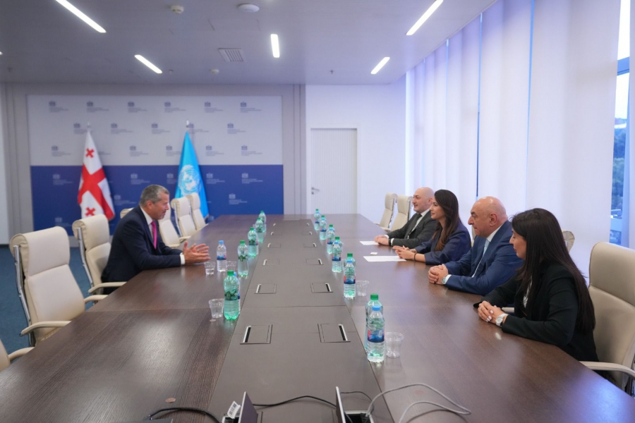 მარიამ ქვრივიშვილი მსოფლიო საზღვაო ორგანიზაციის გენერალურ მდივან არსენიო დომინგესს შეხვდა