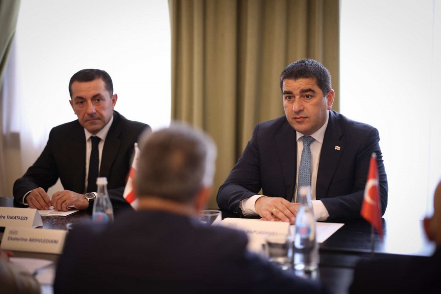 შალვა პაპუაშვილი თურქეთის რესპუბლიკის დიდი ეროვნული კრების დელეგაციას შეხვდა