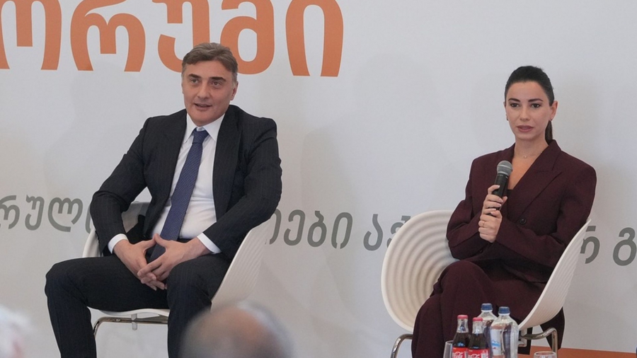 უმნიშვნელოვანესია ეკონომიკის მამოძრავებელი სექტორების, მათ შორის ენერგეტიკის სექტორის განვითარება - მარიამ ქვრივიშვილი