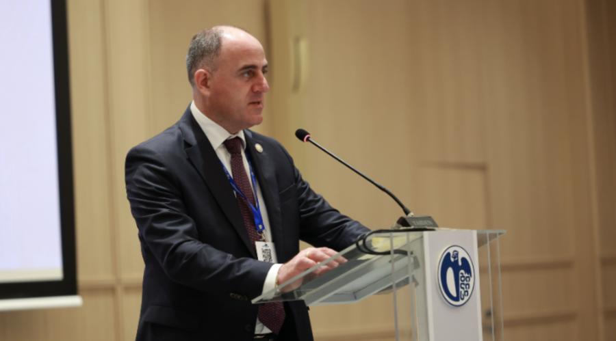 დავით ნარმანიამ თბილისის მდგრადი განვითარების რეგიონული ფორუმის განახლებადი ენერგიის შესახებ პანელურ სესიას მოდერატორობა გაუწია