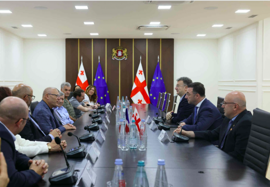 დავით სონღულაშვილი საფრანგეთის მეღვინეობისა და მეცხოველეობის სფეროს წარმომადგენლებს შეხვდა