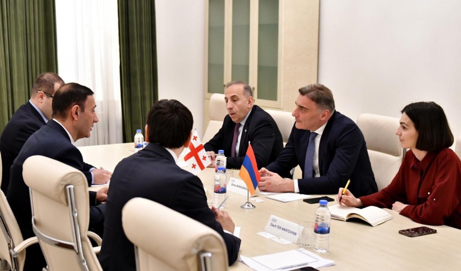 შოთა ბერეკაშვილი და ანტონ ობოლაშვილი სომხეთის რესპუბლიკის ეროვნული ასამბლეის ეკონომიკური ურთიერთობების კომიტეტის თავმჯდომარეს შეხვდნენ