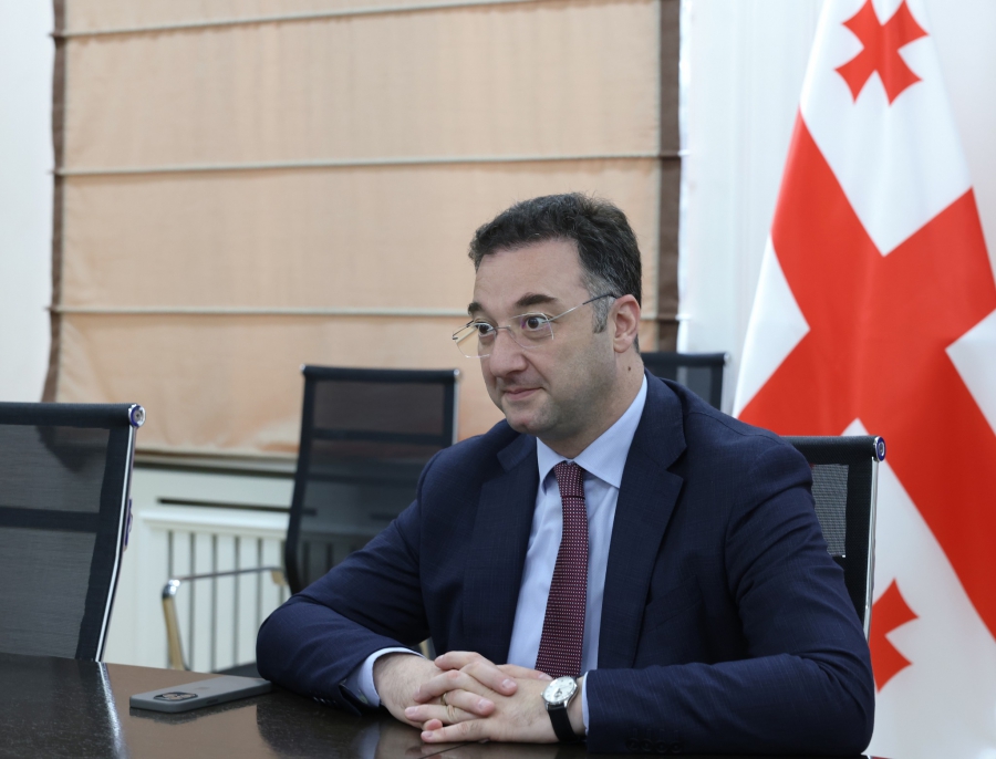 დავით სონღულაშვილი ჩინეთის ბიზნესდელეგაციის წევრებს შეხვდა