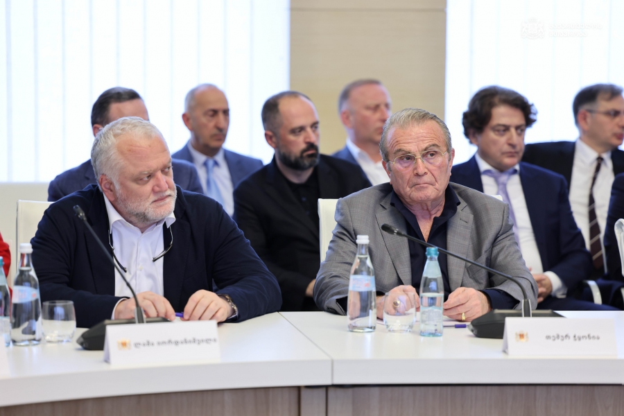 საინტერესო იყო, არ შეიძლება, არსებობდეს ქვეყანა და პრობლემა არ ჰქონდეს ან ეკონომიკური, ან სოციალური, ასეთი ქვეყნები არ არსებობს, სამოთხეში არ არის ასეთი რამ - თემურ ჭყონია პრემიერთან შეხვედრაზე