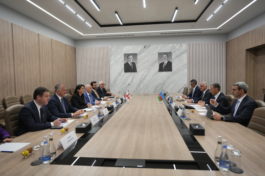 მნიშვნელოვანია, საქართველოსა და აზერბაიჯანს შორის დაიწყოს სარკინიგზო-სამგზავრო მიმოსვლა, რაც ახალ სტიმულს მისცემს ორი ქვეყნის ეკონომიკური ურთიერთობების გაძლიერებას - მარიამ ქვრივიშვილი