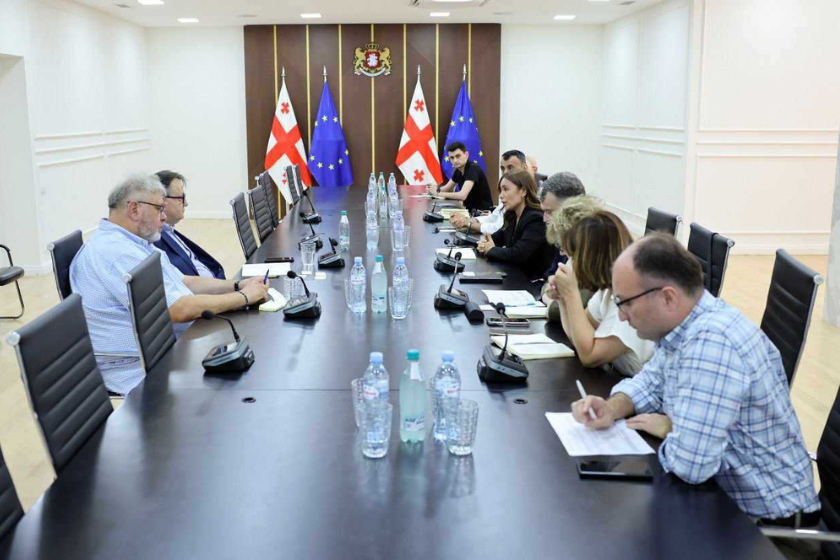გარემოს დაცვა და კლიმატის ცვლილების საკითხების გათვალისწინება ქვეყნის ეკონომიკის განვითარების პროცესში არის საქართველოს მთავრობის პრიორიტეტი - ნინო თანდილაშვილი