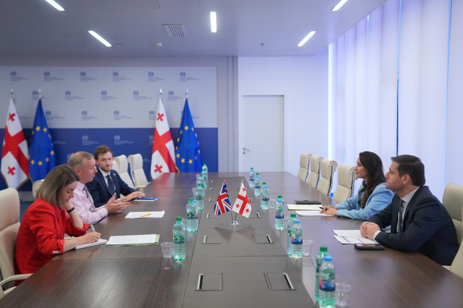 მარიამ ქვრივიშვილი დიდი ბრიტანეთის ელჩს გარეტ უორდს შეხვდა - რა განიხილეს