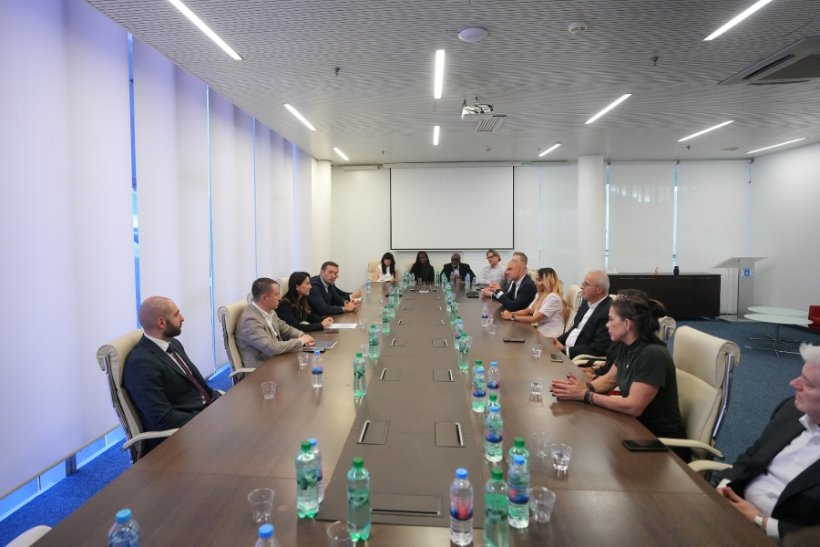 მარიამ ქვრივიშვილი მსოფლიოს წამყვანი BPO კომპანიების წარმომადგენლებს შეხვდა