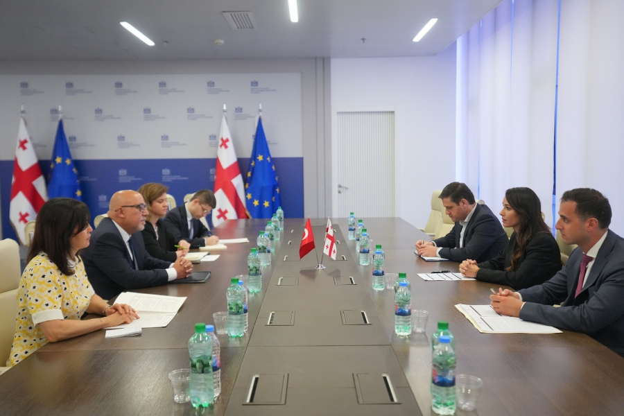 მარიამ ქვრივიშვილი თურქეთის ელჩს საქართველოში, ალი ქაან ორბაის შეხვდა