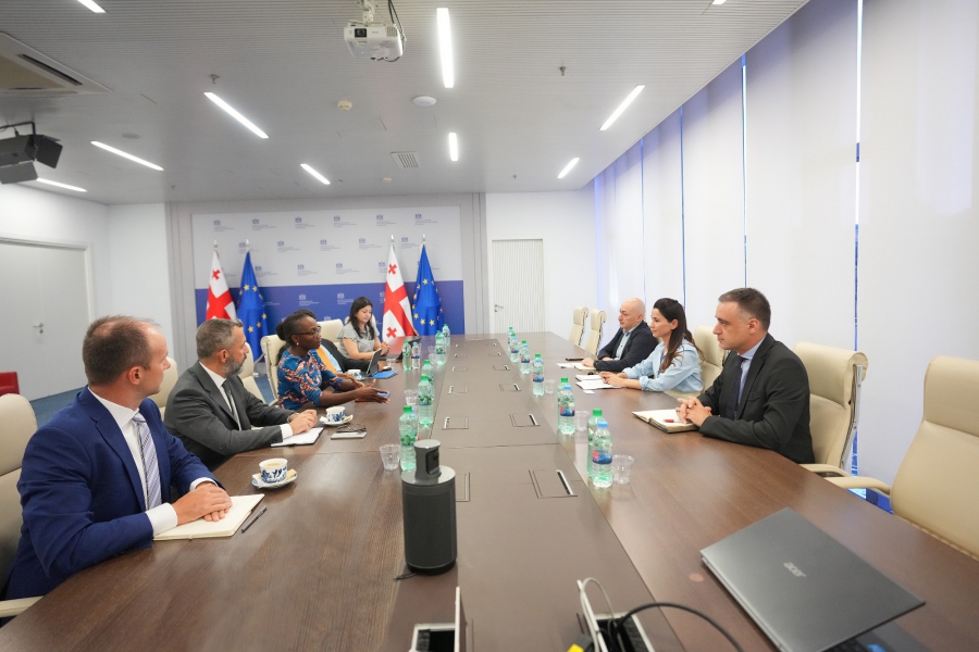 მარიამ ქვრივიშვილმა და მსოფლიო ბანკის რეგიონულმა დირექტორმა თანამშრომლობის მნიშვნელოვანი საკითხები განიხილეს