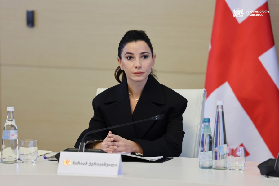 პრივატიზების კუთხით არსებული შედეგი ცხადყოფს, რომ საქართველოში ინვესტიციები იზრდება - მარიამ ქვრივიშვილი
