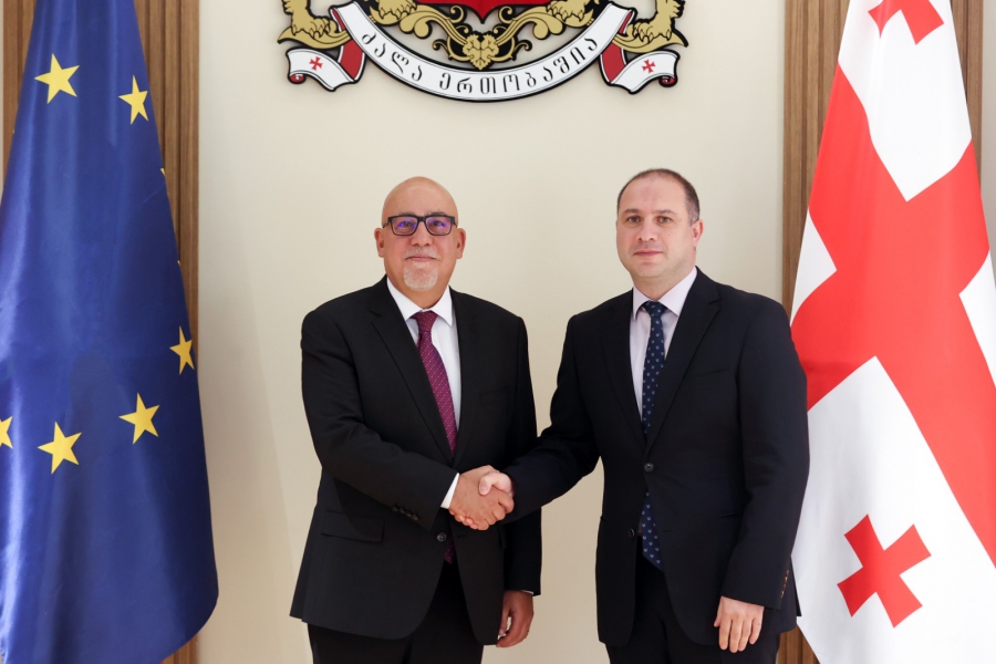 გივი მიქანაძემ თურქეთის რესპუბლიკის საგანგებო და სრულუფლებიან ელჩს საქართველოში ალი ქაან ორბაის უმასპინძლა