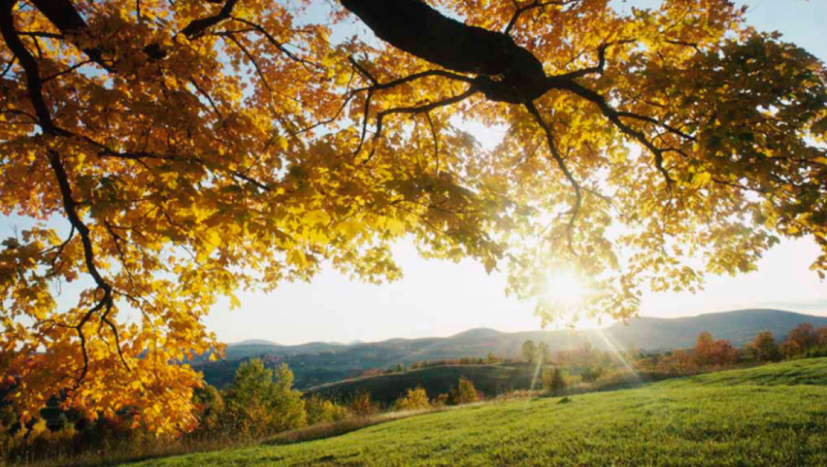 როგორი ამინდია მოსალოდნელი დღეს საქართველოში