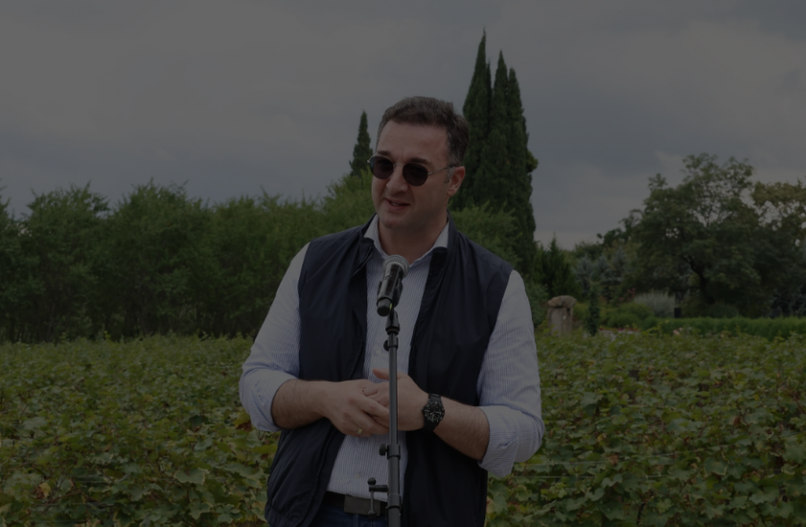 David Songulashvili Participated in the Grape Harvest Alongside Diplomats