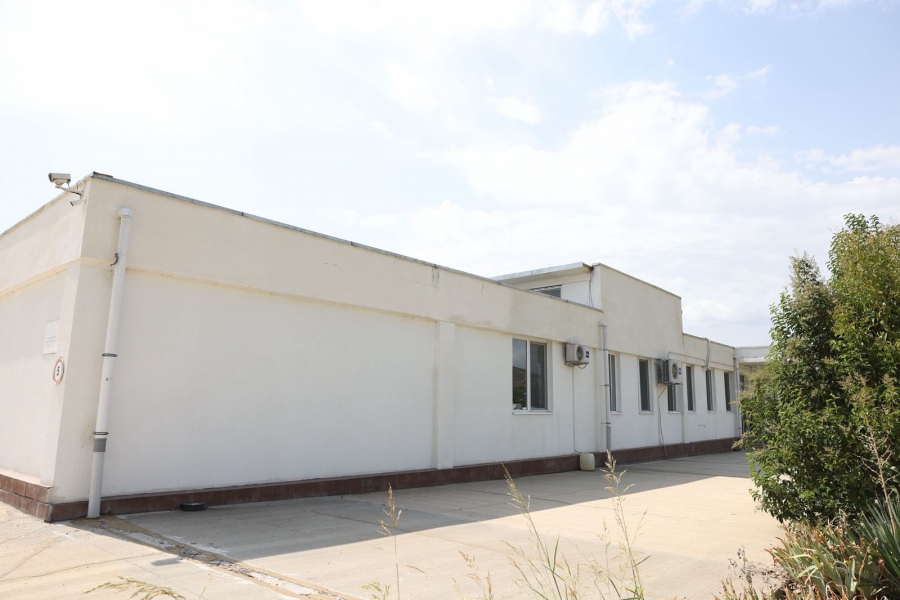 Dried fruits are exported to Germany by a company founded with state financing