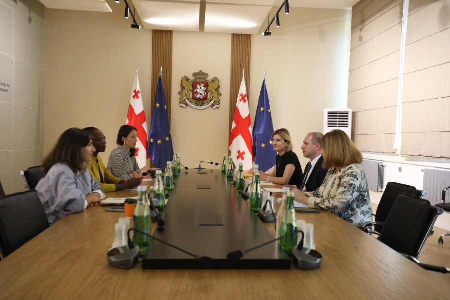 საქართველოს განათლების, მეცნიერებისა და ახალგაზრდობის მინისტრი მსოფლიო ბანკის რეგიონულ დირექტორს შეხვდა