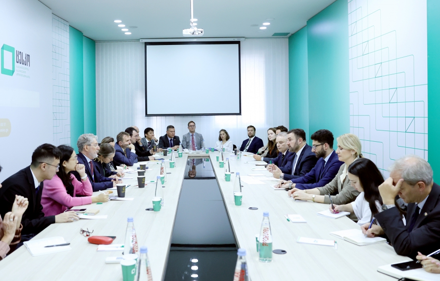ცესკოს თავმჯდომარემ საერთაშორისო ორგანიზაციებისა და დიპლომატიური კორპუსის წარმომადგენლებს მიმდინარე საარჩევნო საკითხები გააცნო