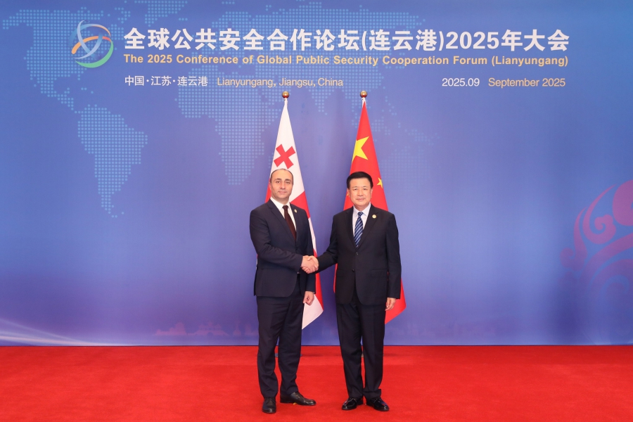 Georgian Interior Minister, Chinese Public Security Minister discuss cooperation