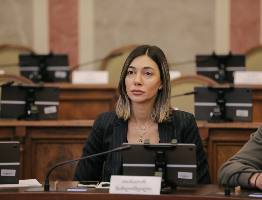 დარწმუნებული ვარ, 4 წლის შემდეგ, როდესაც ჩვენ ამ დარბაზში თბილისელებს საქმიანობის ანგარიშს წარვუდგენთ, ყველა ის პროექტი, რომლებიც თბილისის მერმა წარმოადგინა, შესრულებული იქნება - თინათინ ნიბლოშვილი