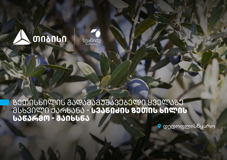 თიბისის მხარდაჭერით, დედოფლისწყაროში „სვანიძის ზეთისხილის“ საწარმო გაიხსნა