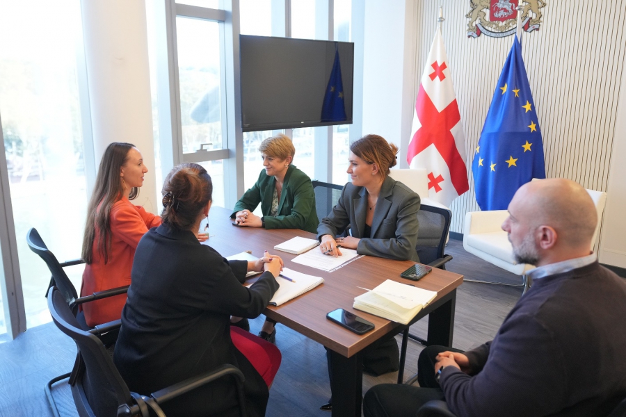 თამარ იოსელიანმა Google-ის წარმომადგენლებთან საჯარო სექტორში ხელოვნური ინტელექტის დანერგვის შესაძლებლობები განიხილა