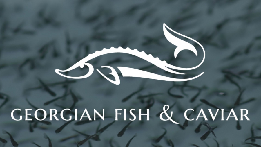 Georgian Fish & Caviar არაბეთის გაერთიანებული საამიროების ბაზარზე შევიდა და 2026 წლისთვის მასშტაბური მოცულობის ექსპორტის განხორციელებას გეგმავს